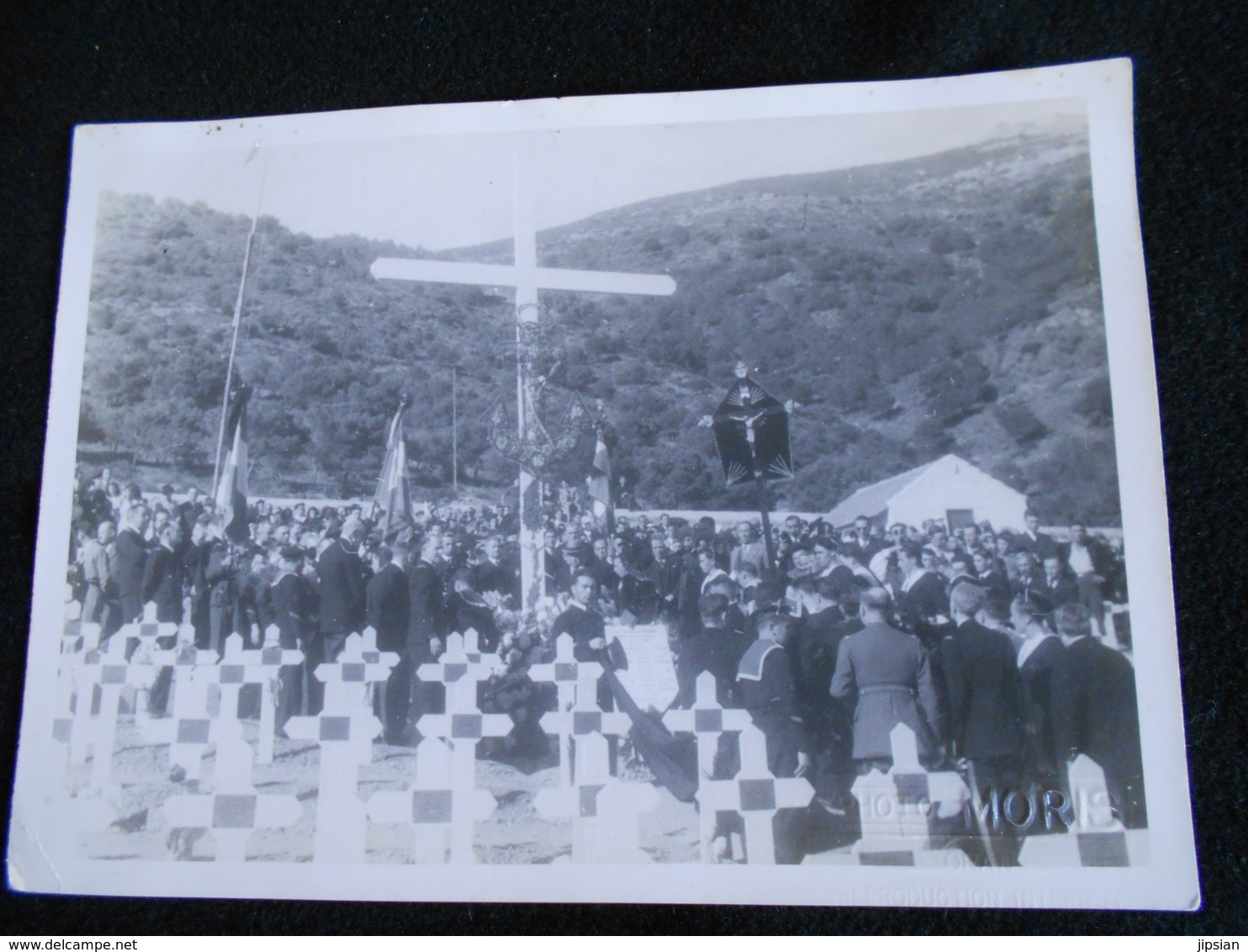 Photo (18 X 13 Cm) Originale à Oran Algérie Photo Moris Circa 1940/50 KXb - Orte