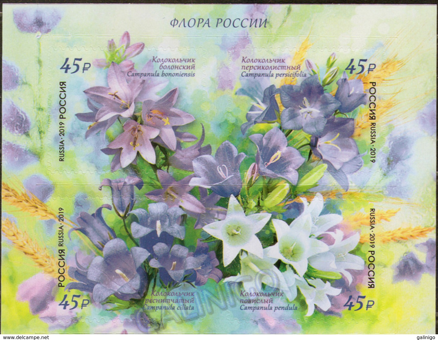 2019-2483-2486 1/2 M/S (top Set) Russia Flora Of Russia:FLOWERS: Bellflowers Mi 2707--2710 MNH - Ongebruikt