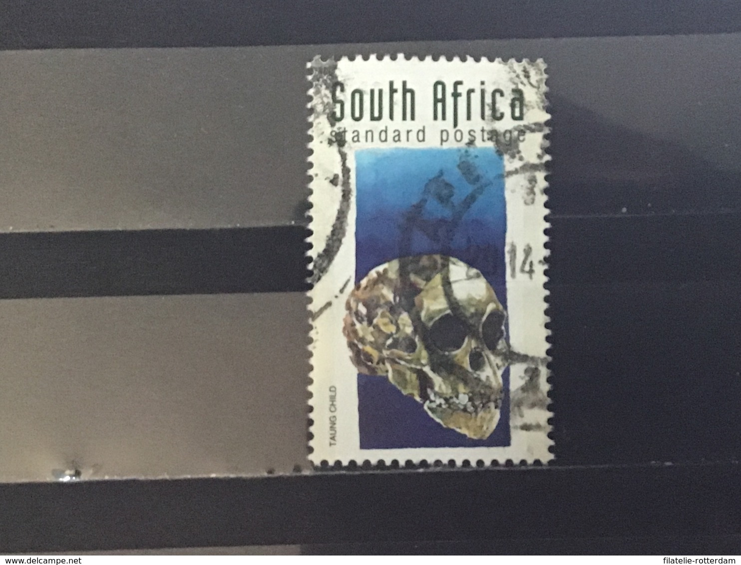 Zuid-Afrika / South Africa - Prehistorische Vondsten 1998 - Used Stamps