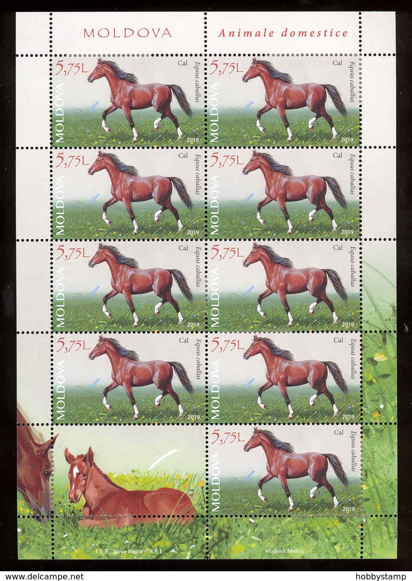 Moldova 2019 Fauna Horse Sheetlet** MNH - Moldova