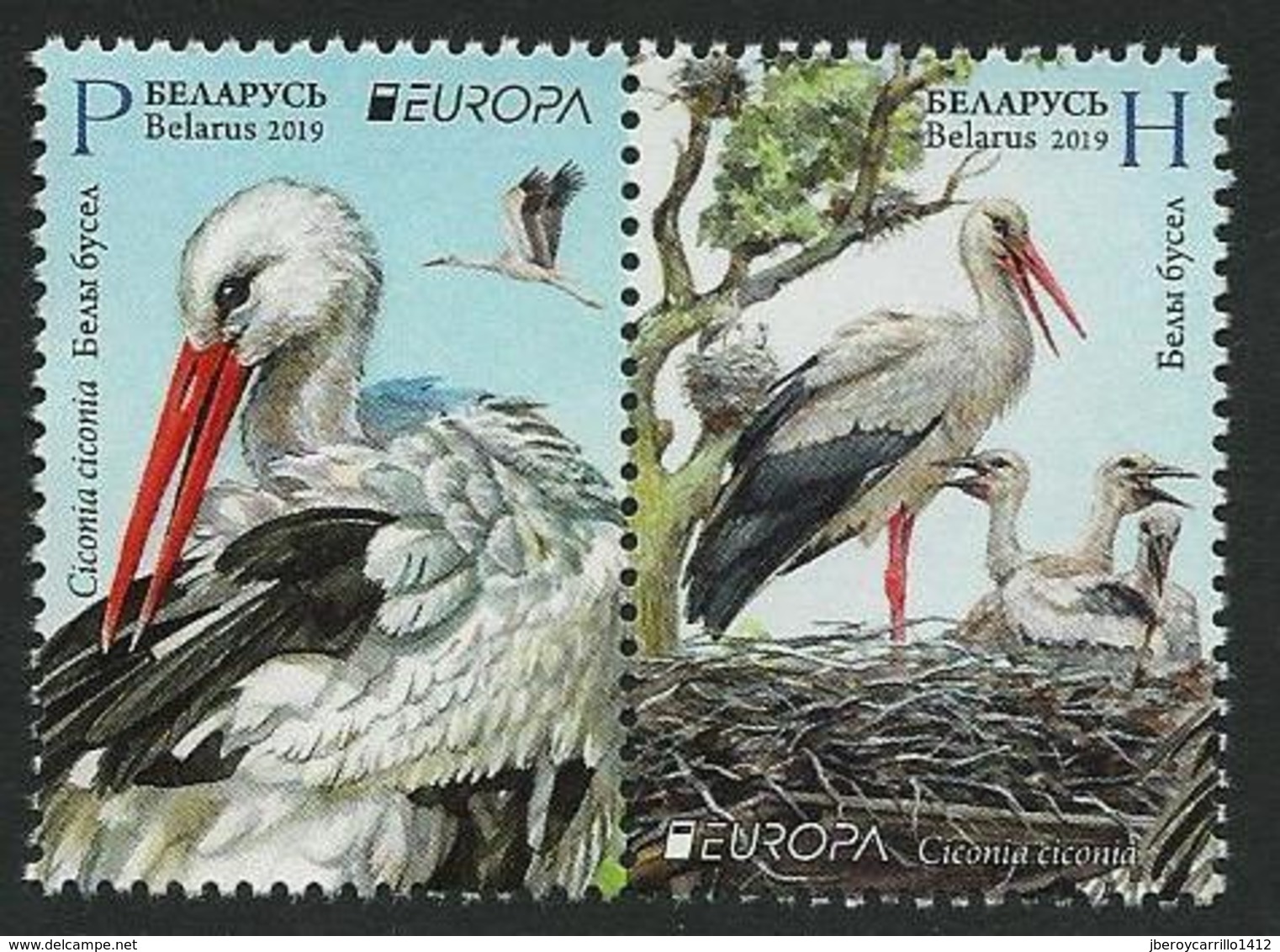 BIELORRUSIA /BELARÚS /WEISSRUSSLAND - EUROPA 2019 -NATIONAL BIRDS.-"AVES -BIRDS -VÖGEL-OISEAUX"- SERIE A De BLOCK - 2019