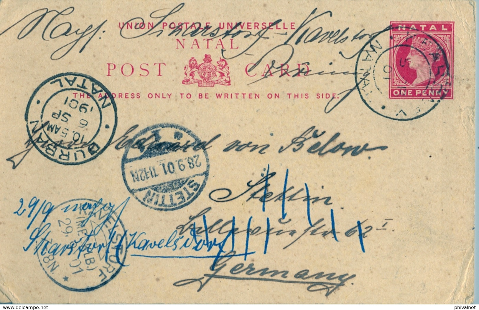 1904 NATAL , TARJETA ENTERO POSTAL CIRCULADA A STETTIN , REDIRIGIDA A KAVELSTORF , TRÁNSITO DE DURBAN - Natal (1857-1909)