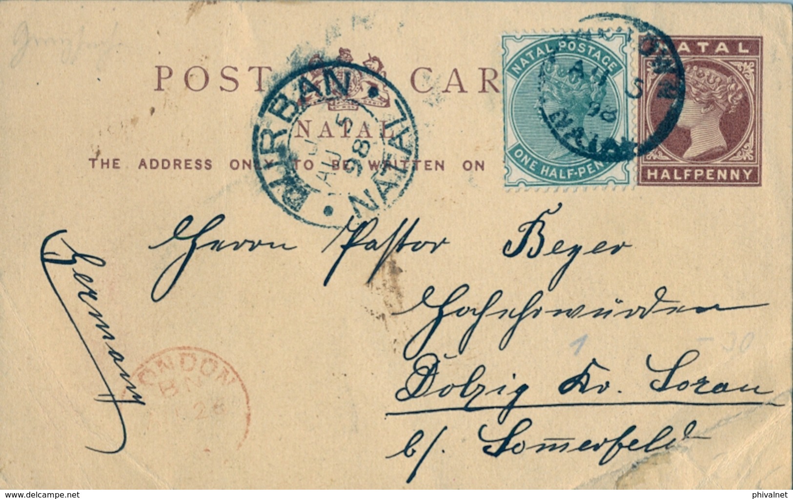 1898 NATAL , TARJETA ENTERO POSTAL CIRCULADA , PINETOWN - SOMERFELD , TRÁNSITO DE DURBAN Y LONDRES , FRANQUEO COMPLEMENT - Natal (1857-1909)