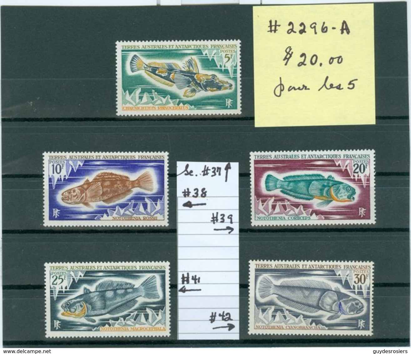 Poisson / Fish. Timbres Scott Stamps # 37 + 38 + 39 + 41 + 42.  T.A.A.F. (2296-A) - Other & Unclassified