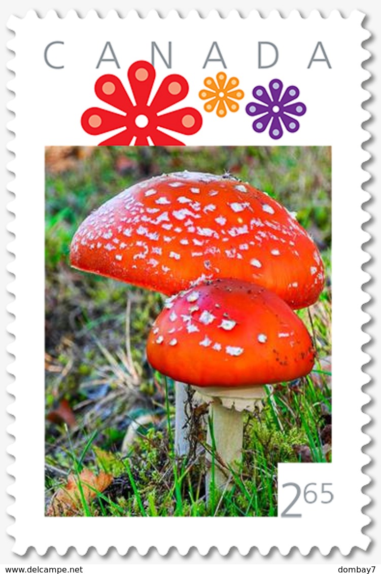 MUSHROOMS = FLY AGARIC = 2.65 = VERTICAL Picture Postage Canada 2019 [p19-06s01] - Mushrooms