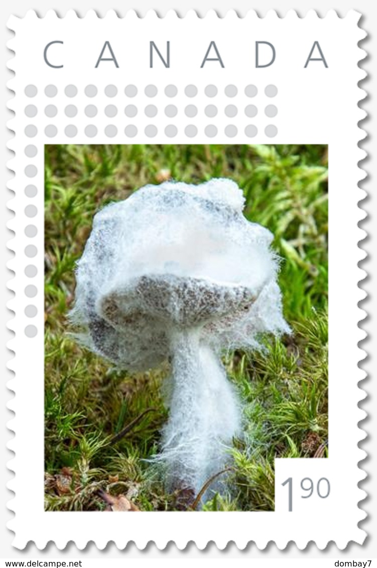 CLOUDY MUSHROOM = 1.90 Rate = VERTICAL Picture Postage Canada 2019 [p19-06s02] - Mushrooms