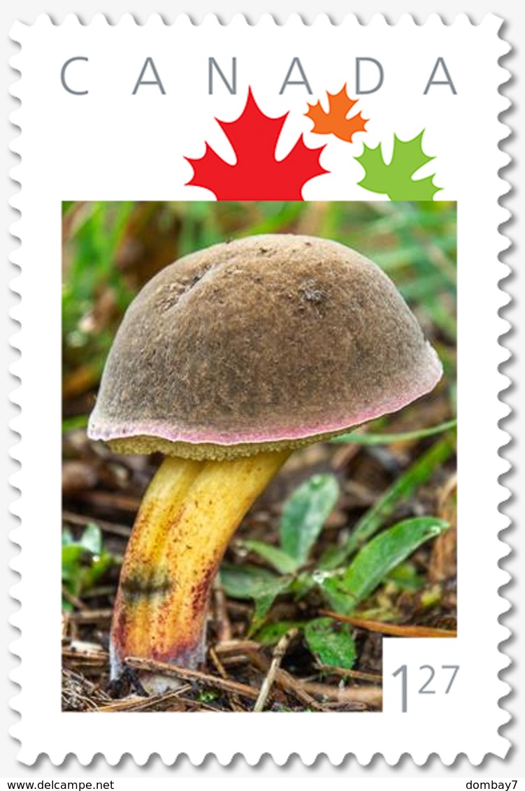 MILITARY MUSHROOM = 1.27 Rate = VERTICAL Picture Postage Canada 2019 [p19-06s03] - Mushrooms