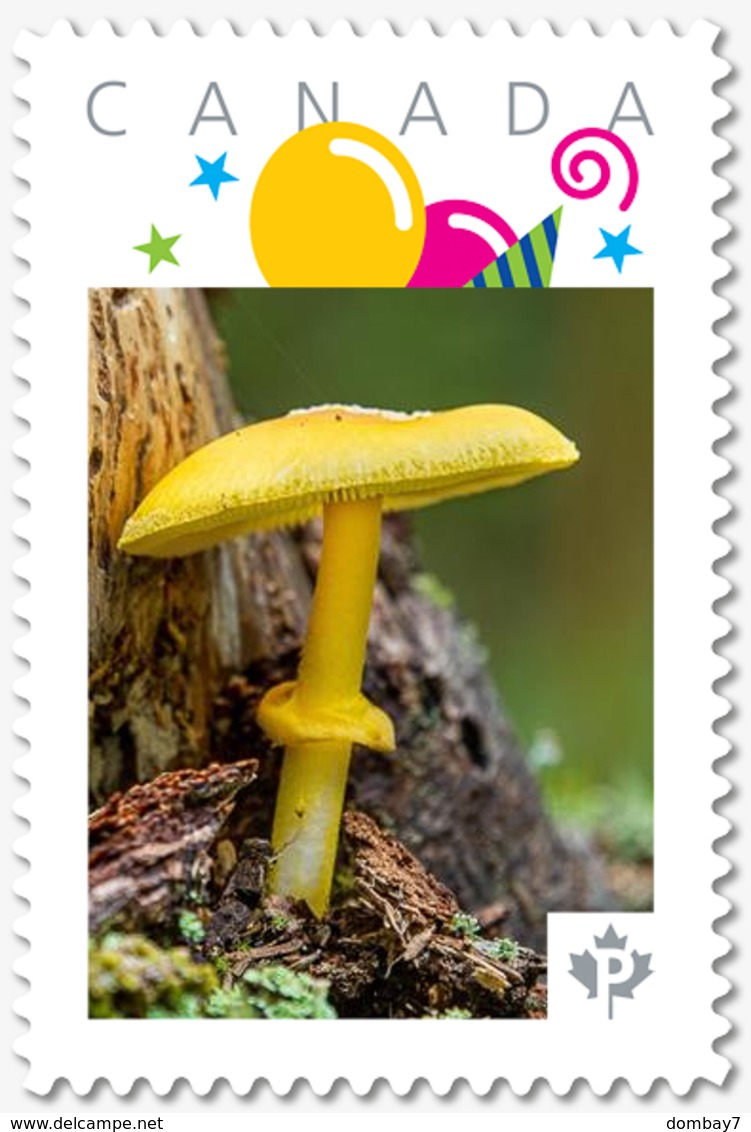 YELLOW TOXIC MUSHROOM = "P"- Rate = VERTICAL Picture Postage Canada 2019 [p19-06s04] - Mushrooms
