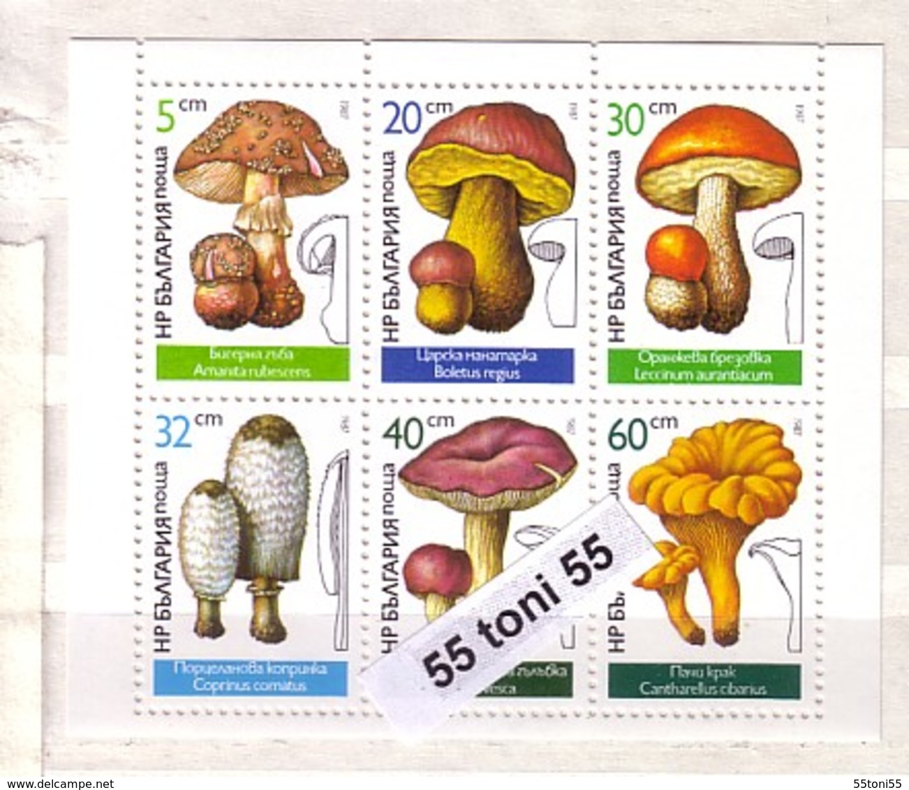 1987 MUSHROOM S/M – MNH  BULGARIA / Bulgarie - Blocs-feuillets