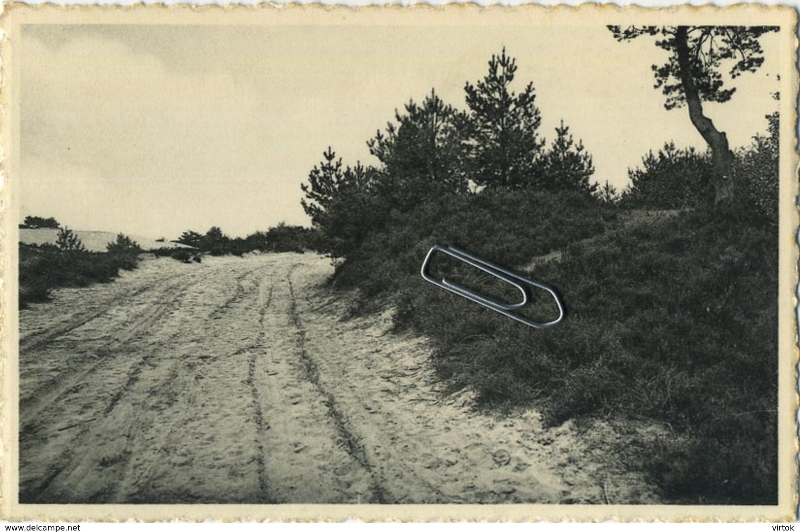 Kalmthout  : 5  Kaarten  Heide  ( Zie Scans ) - Kalmthout