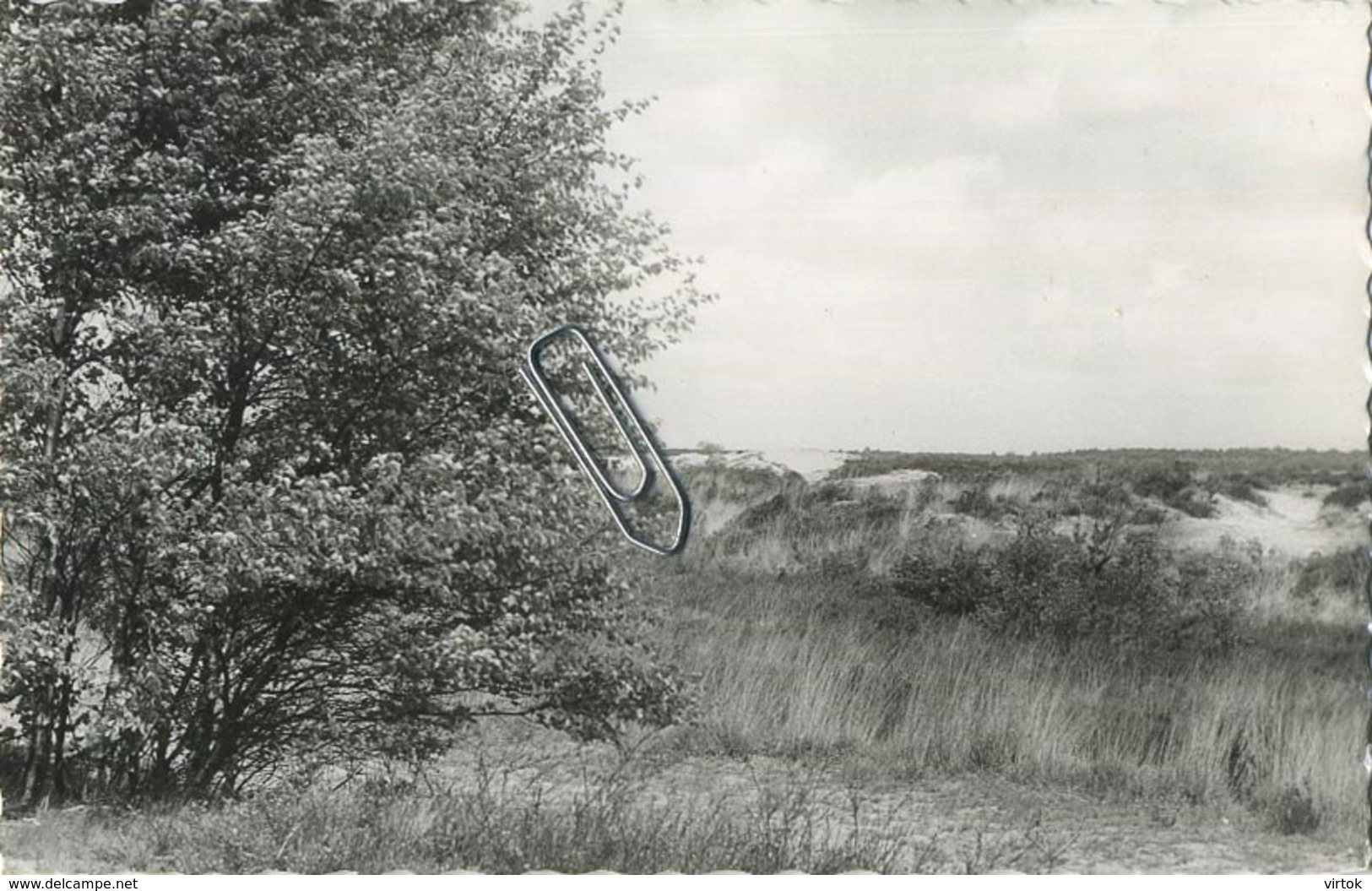 Kalmthout  : 5  Kaarten  Heide  ( Zie Scans ) - Kalmthout