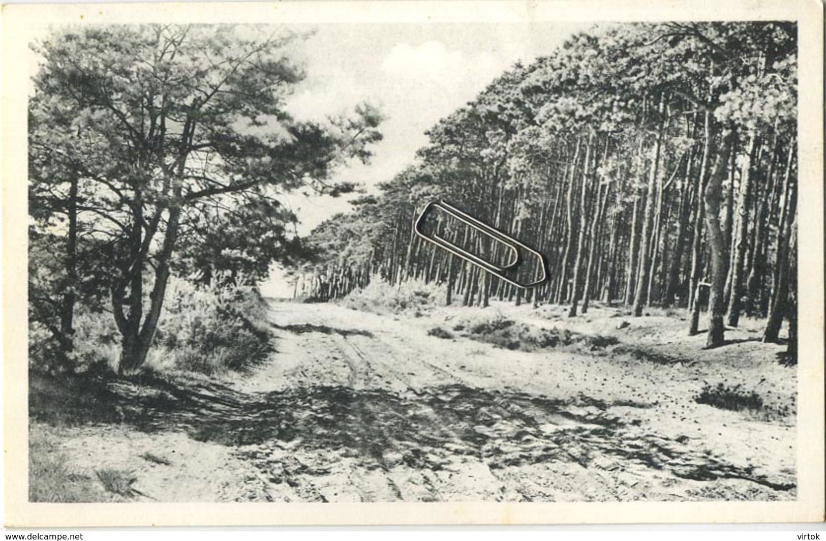 Kalmthout  : 5  Kaarten  Heide  ( Zie Scans ) - Kalmthout