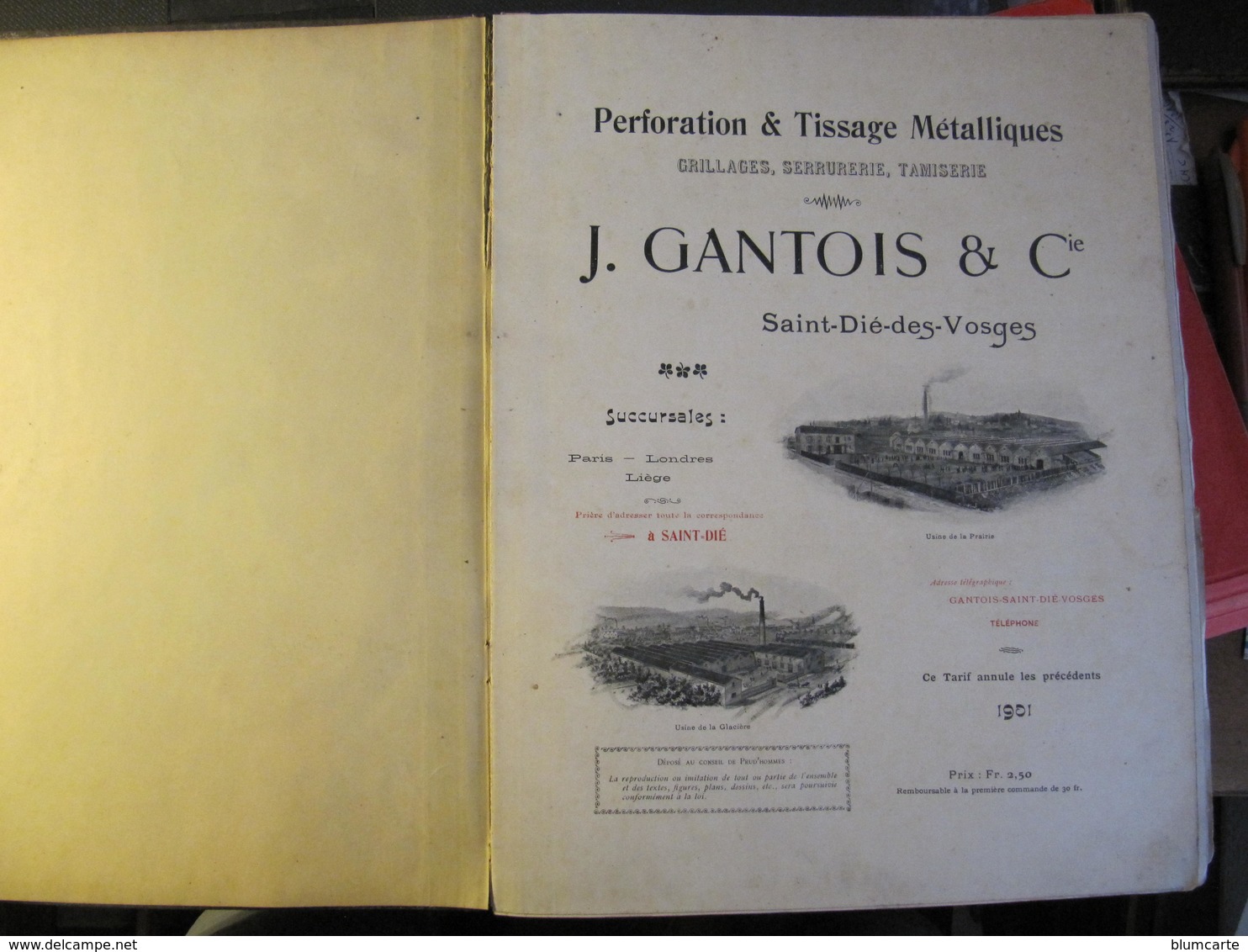 CATALOGUE - J. GANTOIS à SAINT DIE DES VOSGES - GRILLAGES - SERRURERIE - TAMISERIE - 1901 - Format : 32 X 25 Cm - 1901-1940