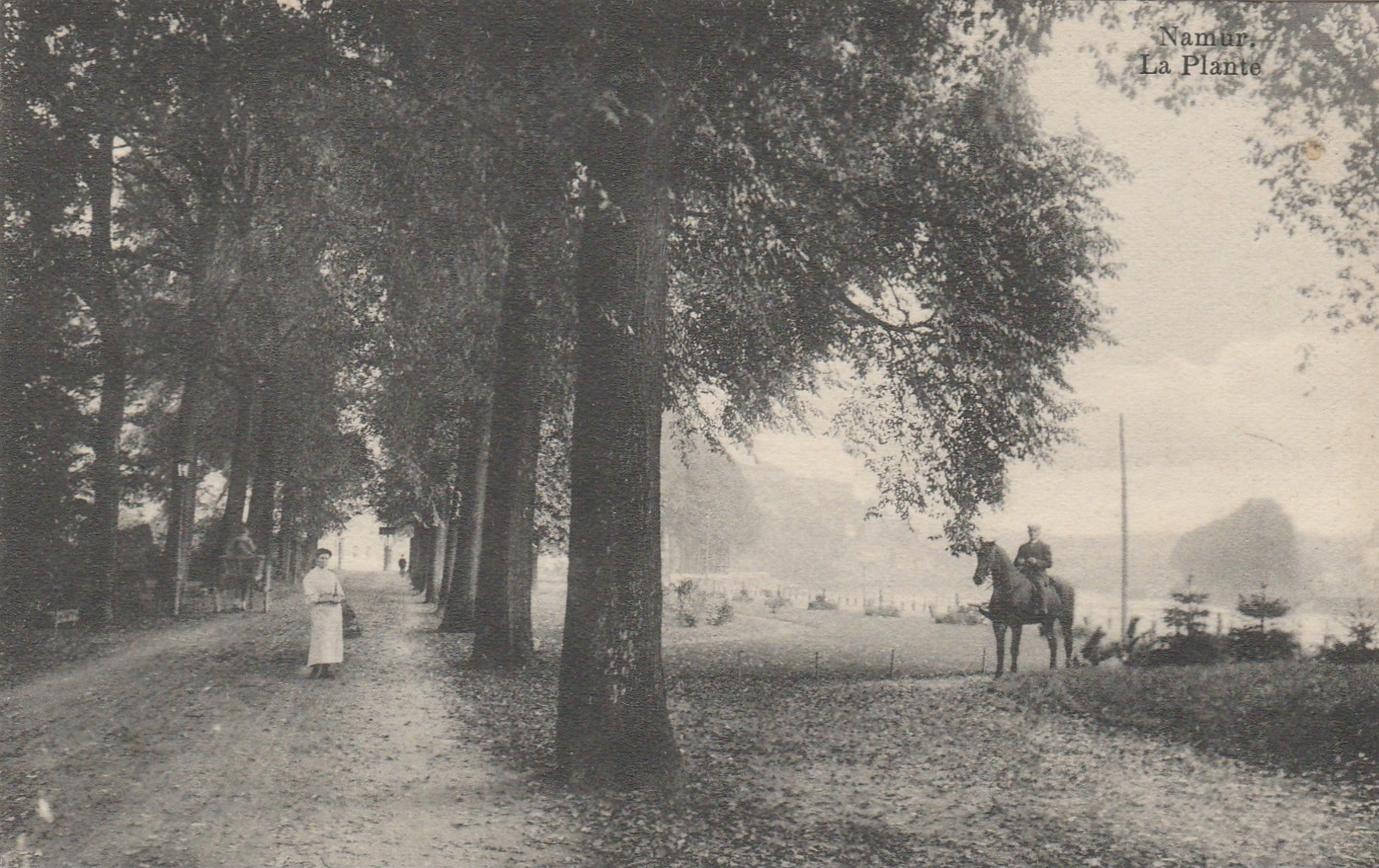 Namur , La Plante ( Cheval ) - Namur