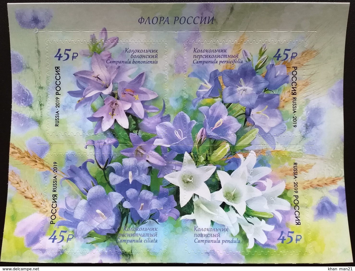 Russia, 2019, Mi. 2708-11, Russian Flora, Bellflower, Self-adhesive - Unused Stamps