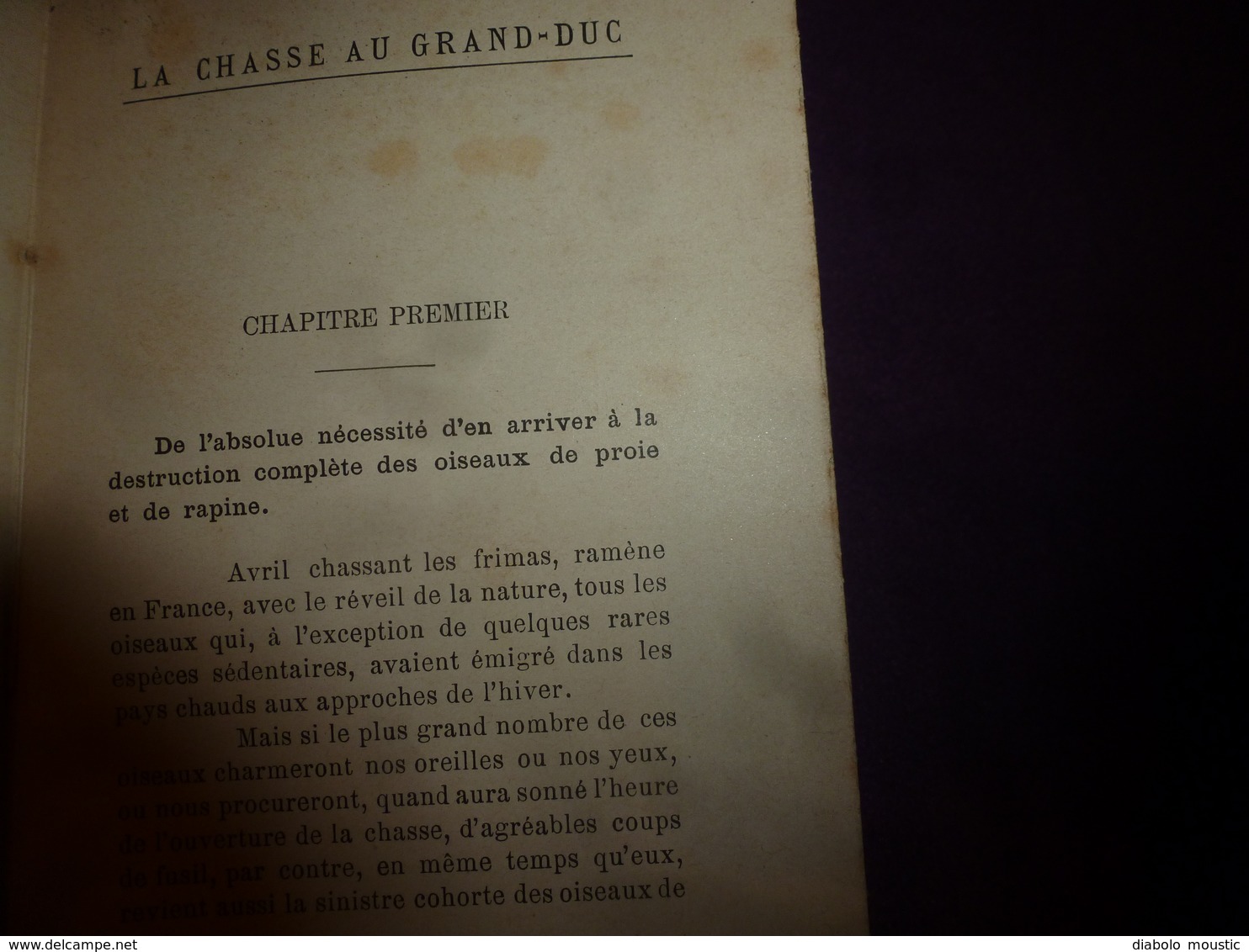 1905 La Chasse Au GRAND-DUC ,par Emile Passerat - Destruction Complète Des Oiseaux De Proie Et De Rapine,etc - 1901-1940