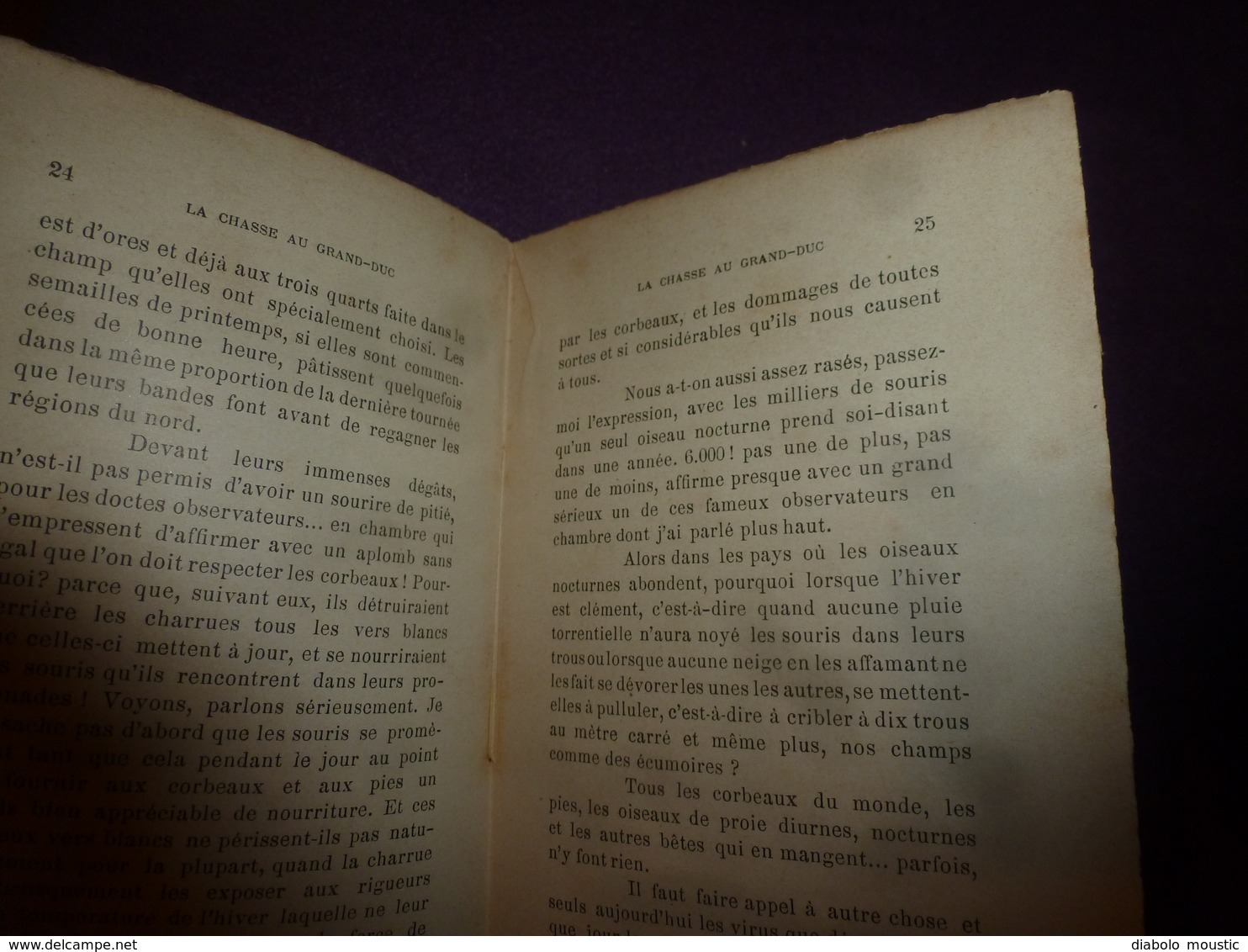 1905 La Chasse Au GRAND-DUC ,par Emile Passerat - Destruction Complète Des Oiseaux De Proie Et De Rapine,etc - 1901-1940