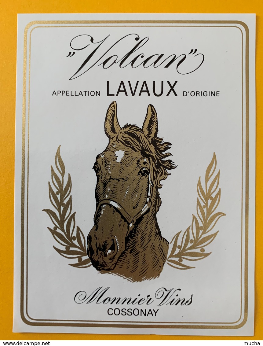 10822 - Volcan Lavaux  Suisse - Pferde