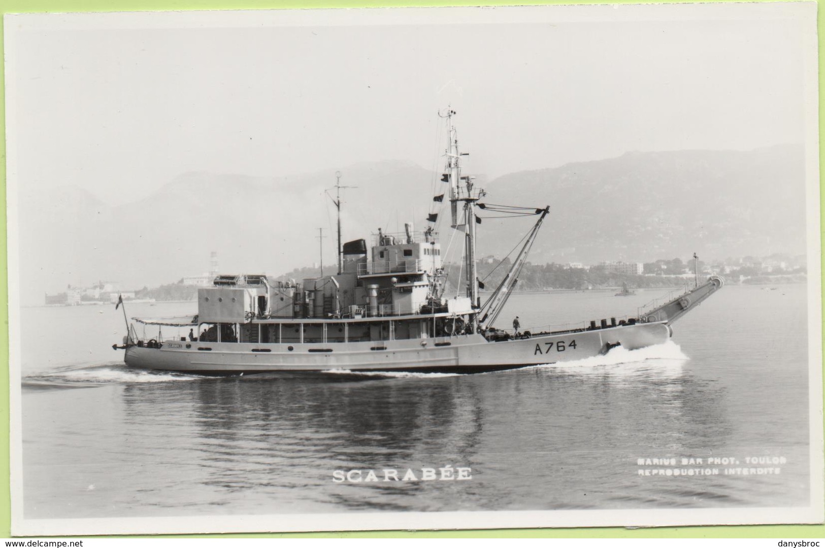 SCARABEE   / Photo Marius Bar, Toulon / Marine - Bateaux - Guerre - Militaire - Guerre