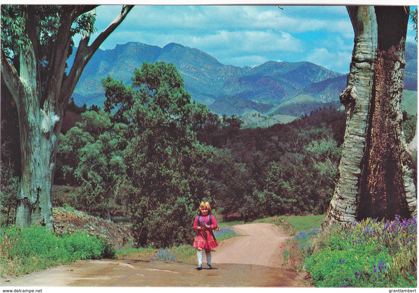 The Flinders Ranges, South Australia - Unused Prepaid PC - Flinders Ranges