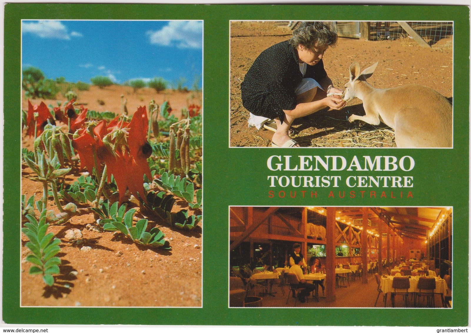 Glendambo Tourist Centre, South Australia - Unused - Other & Unclassified