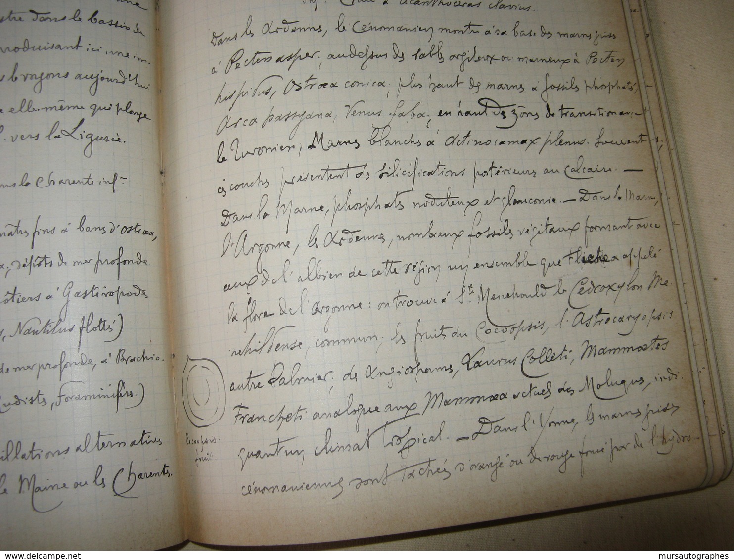 2 CAHIERS MANUSCRITS DE L'HISTORIEN ET MEDECIN PAUL DELAUNAY 1902-05 COURS GEOLOGIE STANISLAS MEUNIER + DESSINS - Autres & Non Classés