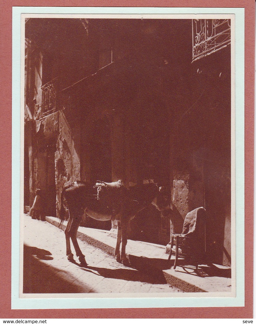 SICILE AGRIGENTE GIRGENTI 1926  Photo Amateur Format Environ 5,5 Cm X 7,5 Cm - Lieux