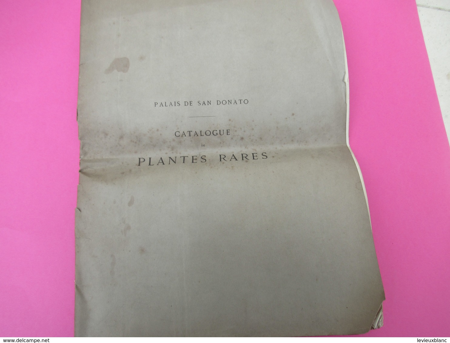 Grde Plaquette/Catalogue De Plantes Rares/ Palais De San Donato/ITALIE/Vente Aux Enchères/Florence/LUBBERS/1879   MDP100 - 1801-1900