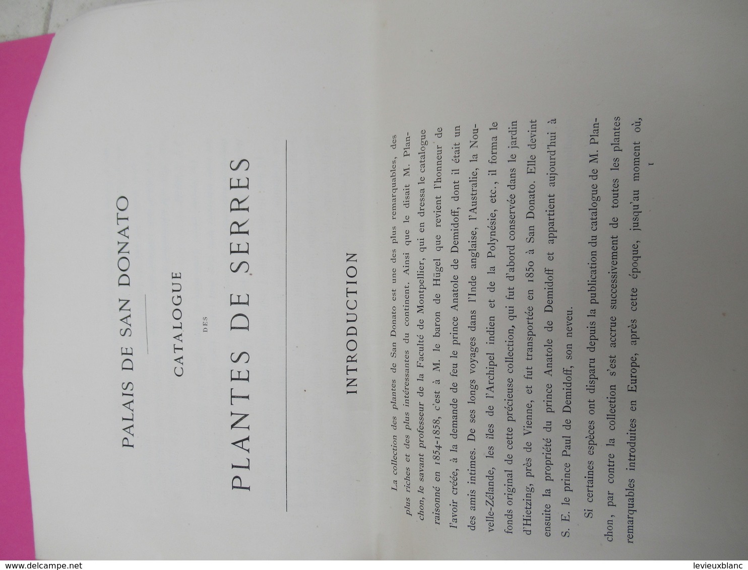 Grde Plaquette/Catalogue De Plantes Rares/ Palais De San Donato/ITALIE/Vente Aux Enchères/Florence/LUBBERS/1879   MDP100 - 1801-1900