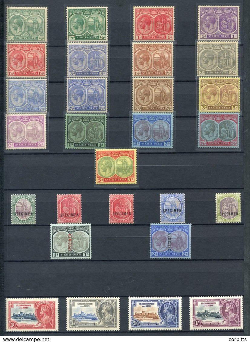 BRITISH WEST INDIES M & U Remaindered Collection On Black Stock Leaves From St. Kitts, 1903 ½d, 1d (3), 2½d, 5s All Optd - Other & Unclassified