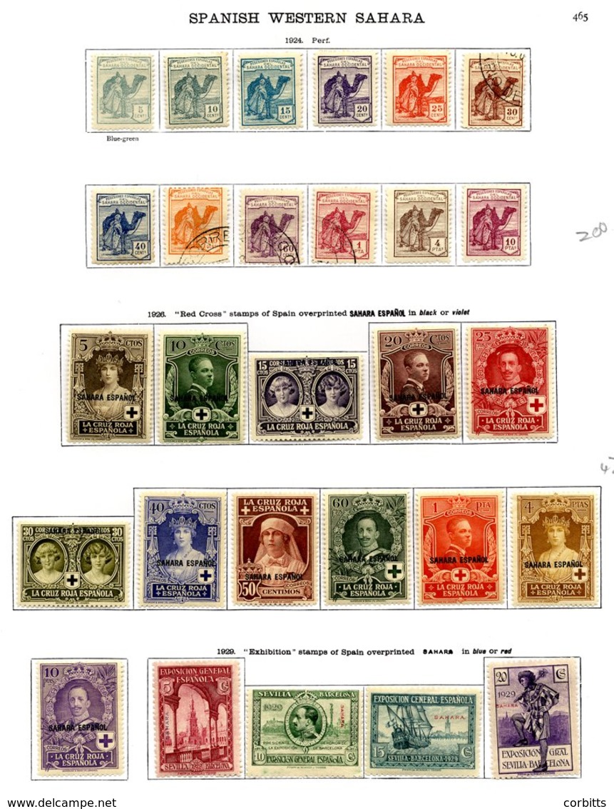 SPANISH (SAHARA) Collection Incl. 1924 Camels To 10p (30c, 50c, 60c & 1p U) Remainder M, 1926 Red Cross M, 1929 Exhibiti - Otros & Sin Clasificación