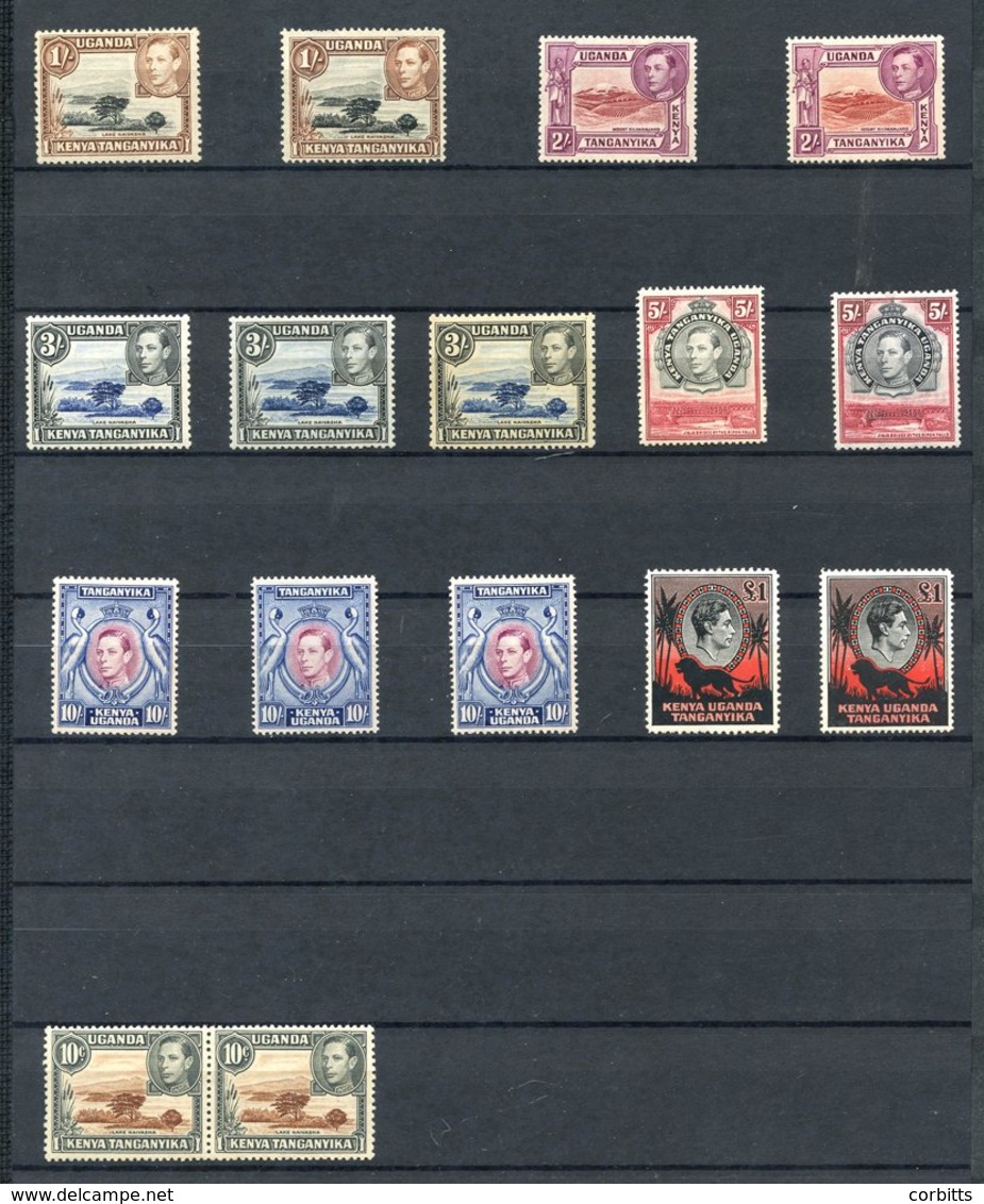 K.U.T 1907-1960 Mainly M Range On Black Stock Leaves From 1907-08 MCCA Set M, 1938 Set Incl. £1 (2) & 10s (2), 5s (2), 3 - Other & Unclassified