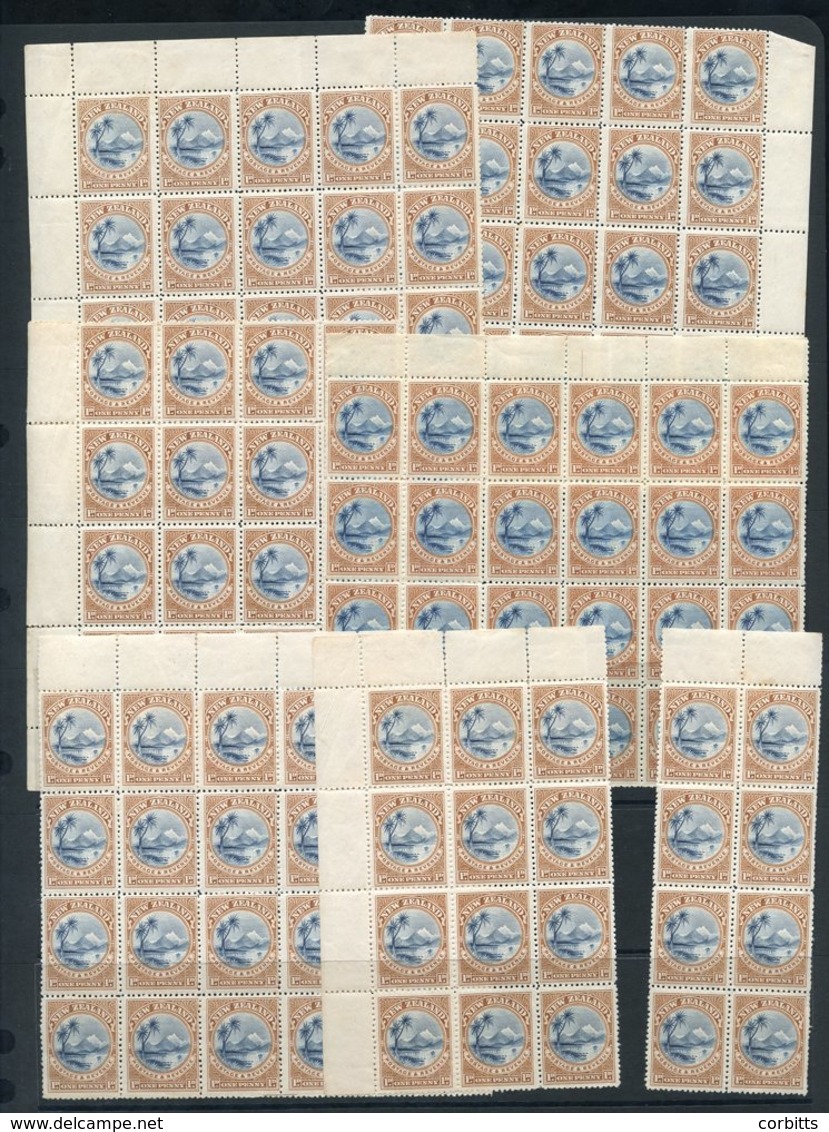 1898 1d Taupo, Mint Selection Of Unplated Multiples With Blocks Of 24, 20 (10), 19, 10, 8 (2), Strip Of 5, 4 (2), 3 X 1, - Sonstige & Ohne Zuordnung