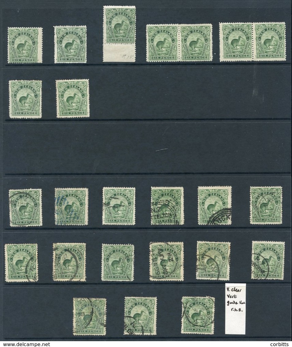 1898 6d Green Kiwi Selection With UM Single, Two Mint Pairs, Several Mint Singles, One Unused And A Fine Range Of Used I - Autres & Non Classés