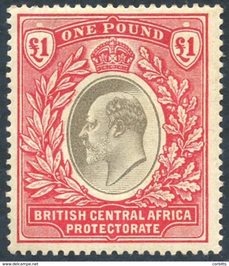 B.C.A.1903-04 CCC £1, Grey & Carmine, Fine M, SG.66. Cat. £325. (1) - Sonstige & Ohne Zuordnung