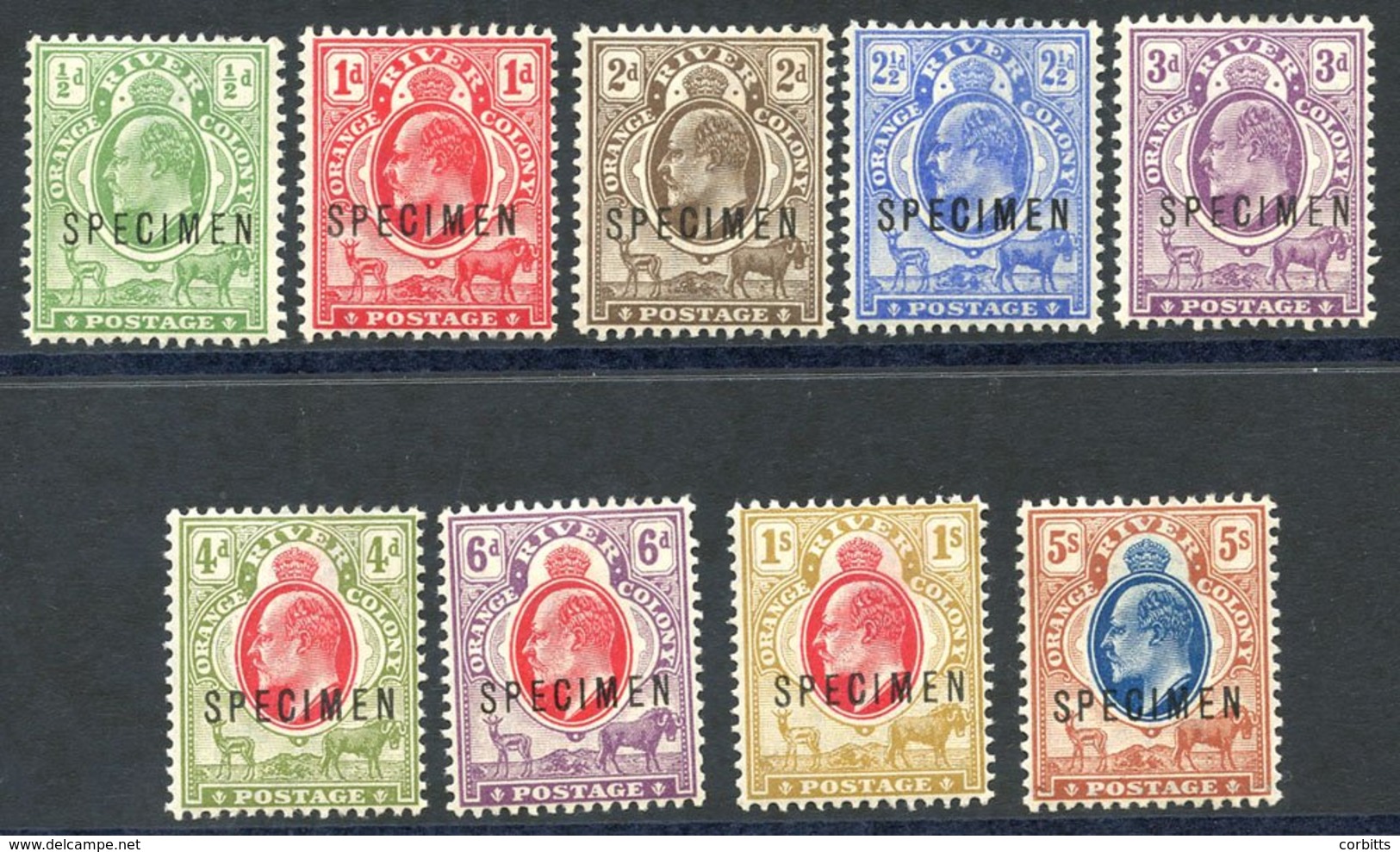 1903-04 CCA Set Ovpt SPECIMEN, Fresh M, SG.139s/147s. (9) Cat. £275 - Autres & Non Classés