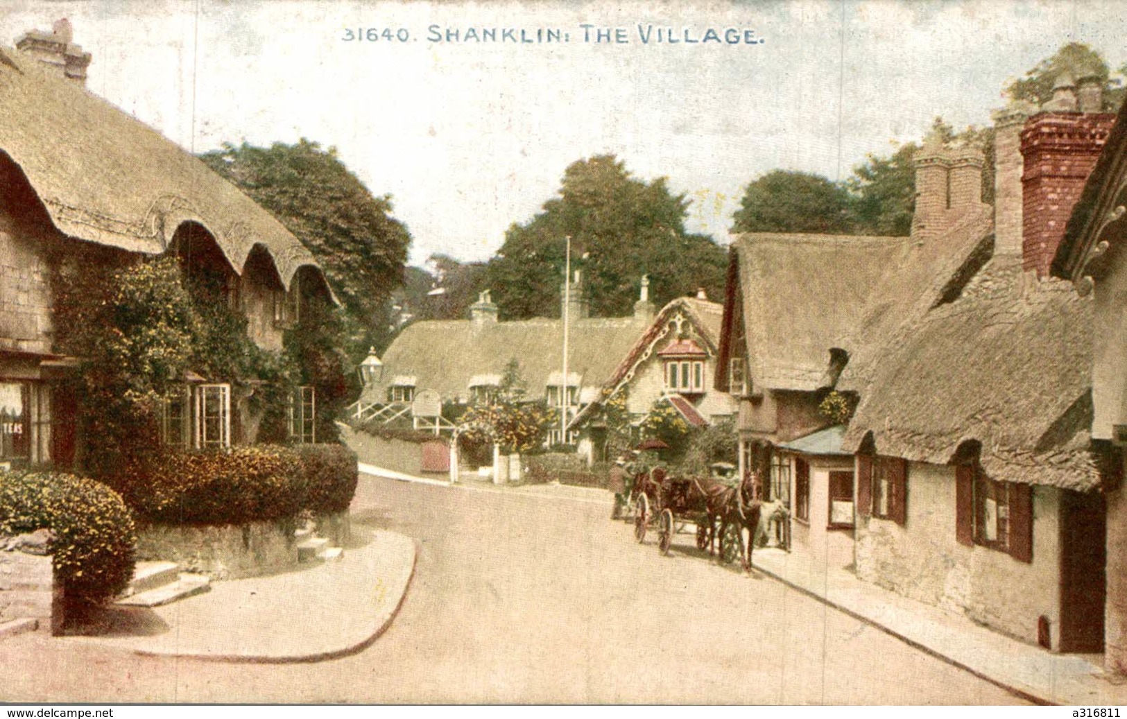 SHANKLIN THE VILLAGE - Autres & Non Classés