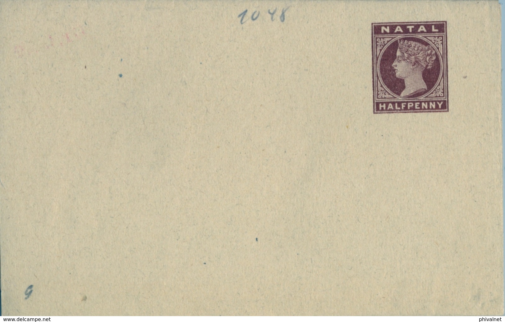 NATAL ,  FAJA POSTAL PARA PRENSA NO CIRCULADA , HALF PENNY - Natal (1857-1909)