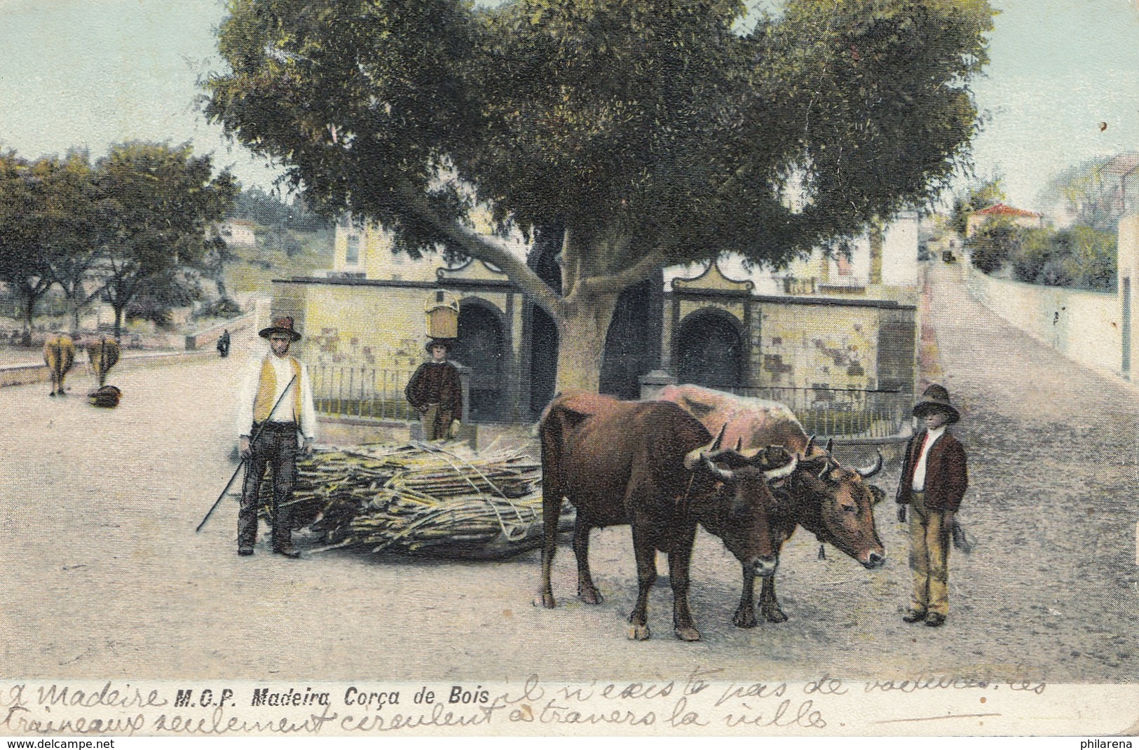 Madeira 1912: Post Card Corca De Bois, Posted On High Seas Paquebot To Paris - Madère