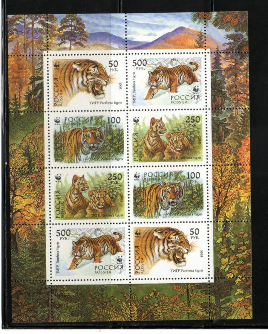 RUSSIE    Neuf Sans Charnière    N° 6029 à 6032 ( Bloc Feuillet) N**   ANIMAUX TIGRES   1993 - Blocs & Feuillets