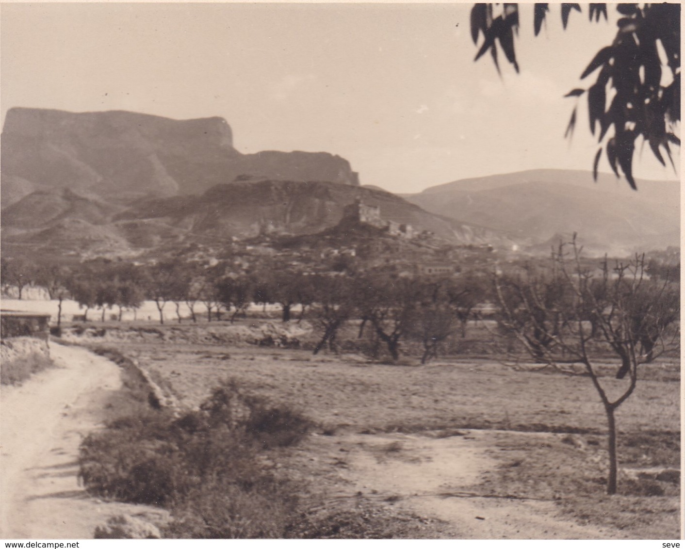 PETREL Espagne 1954 Photo Amateur Format Environ 5,5 Cm X 7,5 Cm - Luoghi