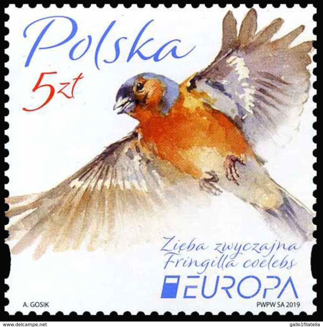 2019 - POLONIA / POLAND - EUROPA  CEPT - UCCELLI / BIRDS - SET COMPLETO. MNH. - 2019