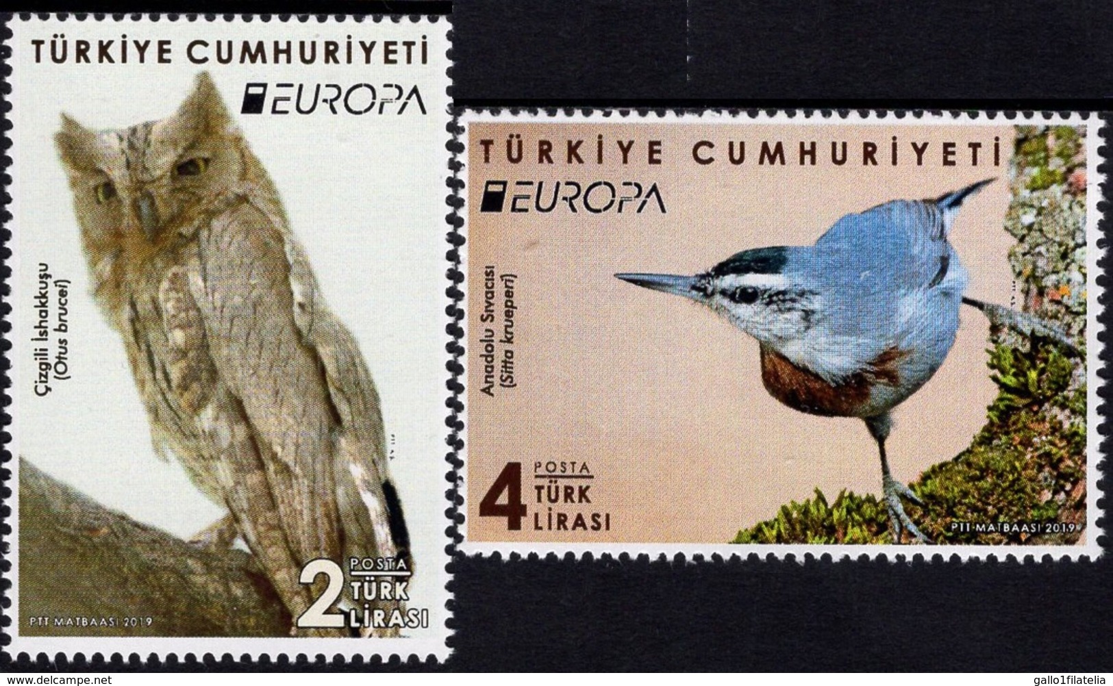 2019 - TURCHIA / TURKEY - EUROPA  CEPT - UCCELLI / BIRDS - SET COMPLETO. MNH. - 2019