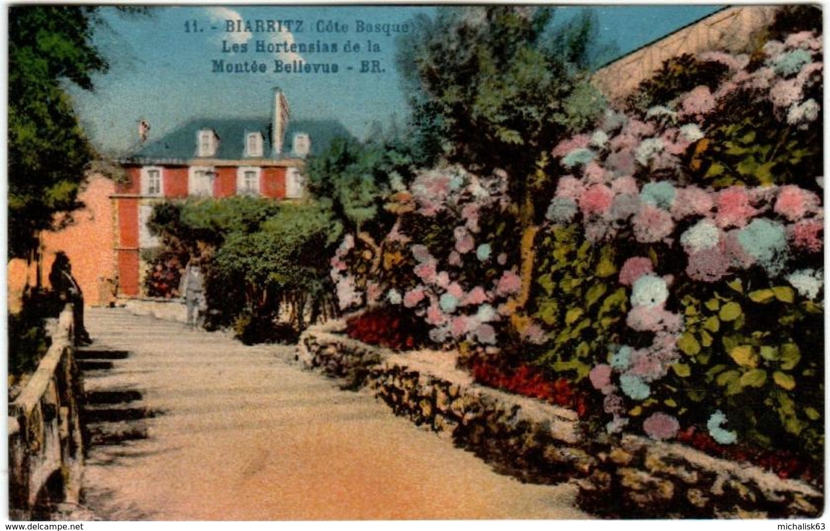 31rom 149 CPA - BIARRITZ - LES HORTENSIAS DE LA MONTEE BELLEVUE - Biarritz