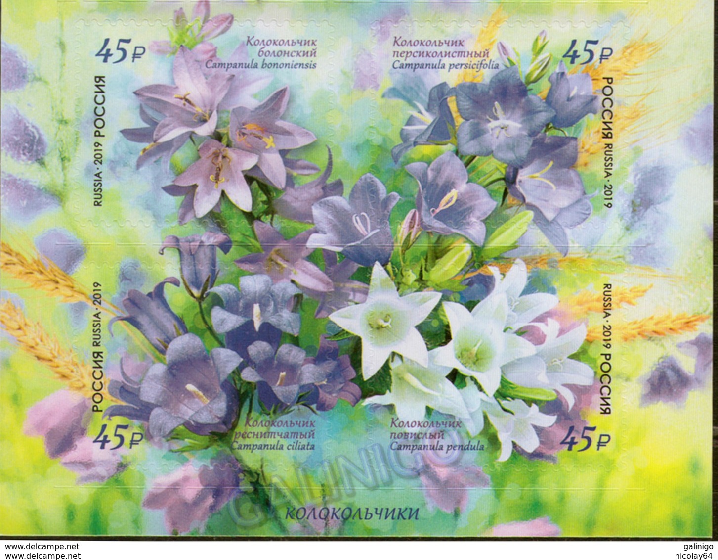 Russia 2019 Flowers Set MNH - Neufs