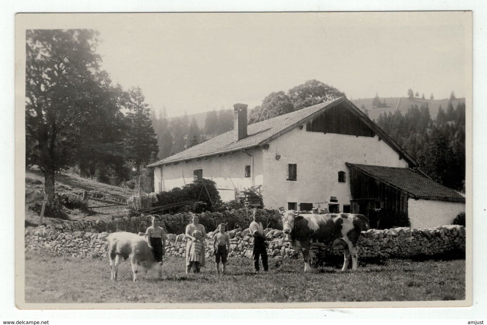 Suisse // Schweiz // Autres // Carte Photo, Ferme Au Jura - Au