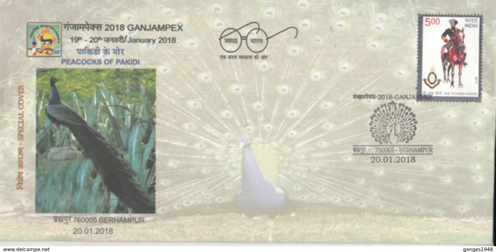 India 2018  Birds  Peacock  Brahmpur  Special Cover # 20179   D  Inde Indien - Paons