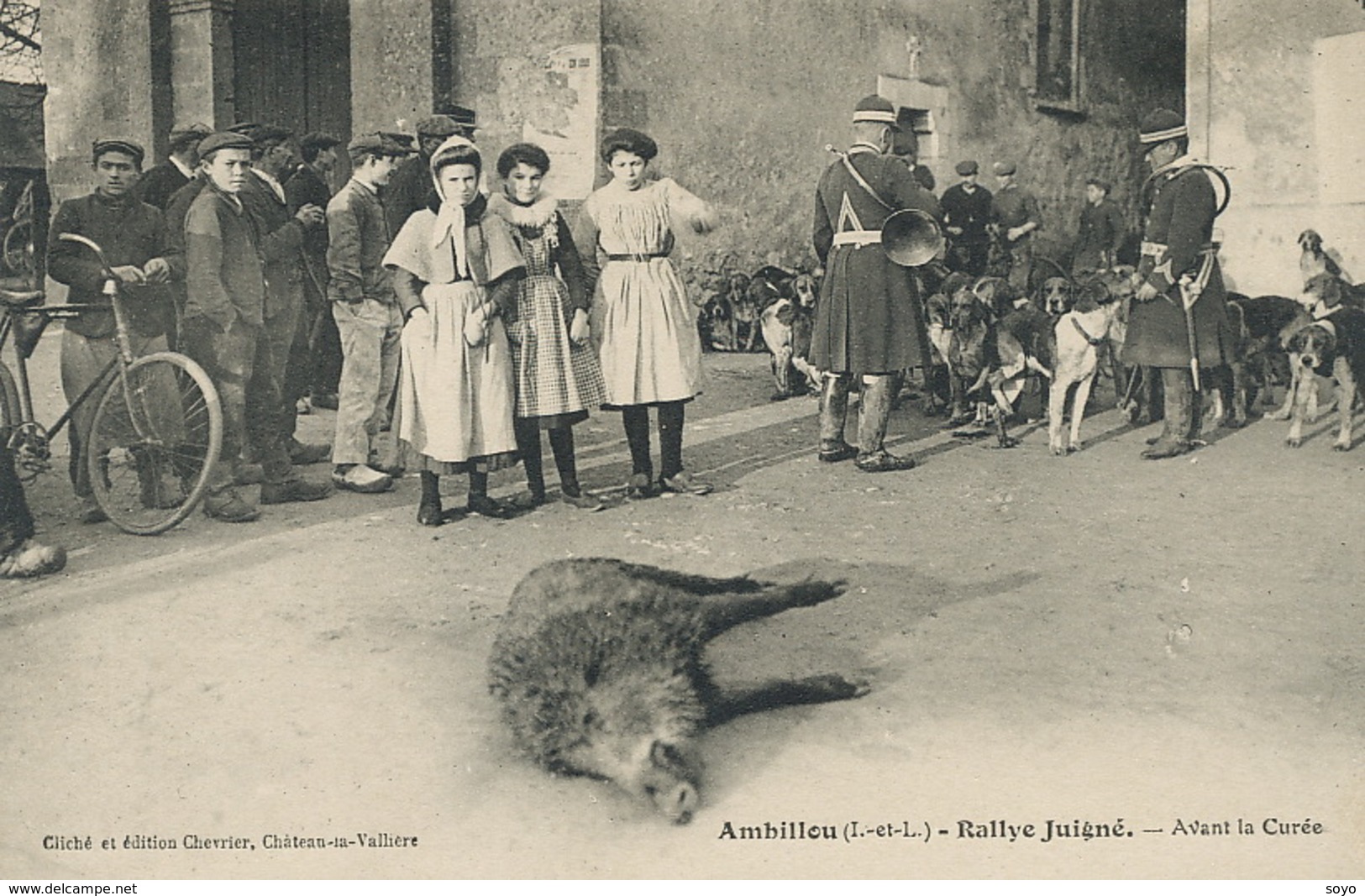 Chasse à Courre à Ambillou Rallye Juigné Sanglier Avant Curée Chien Meute Hounds . Wild Pig Hunting. Sonneur Cor Chasse - Jacht