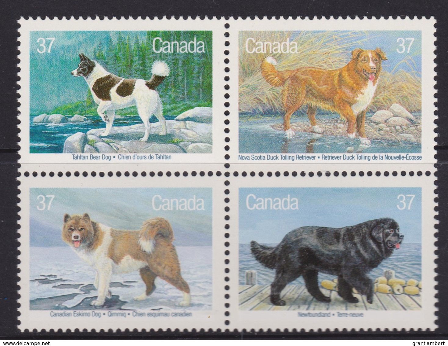 Canada 1988 Canadian Dogs Set As Block Of 4 MNH - Unused Stamps