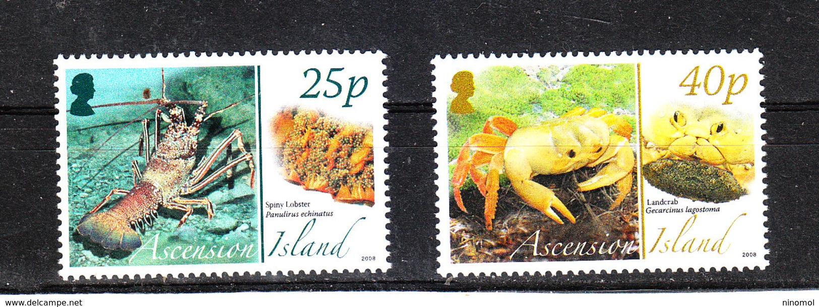 Ascension - 2008. Aragosta E Granchio. Lobster And Crab. MNH - Crostacei